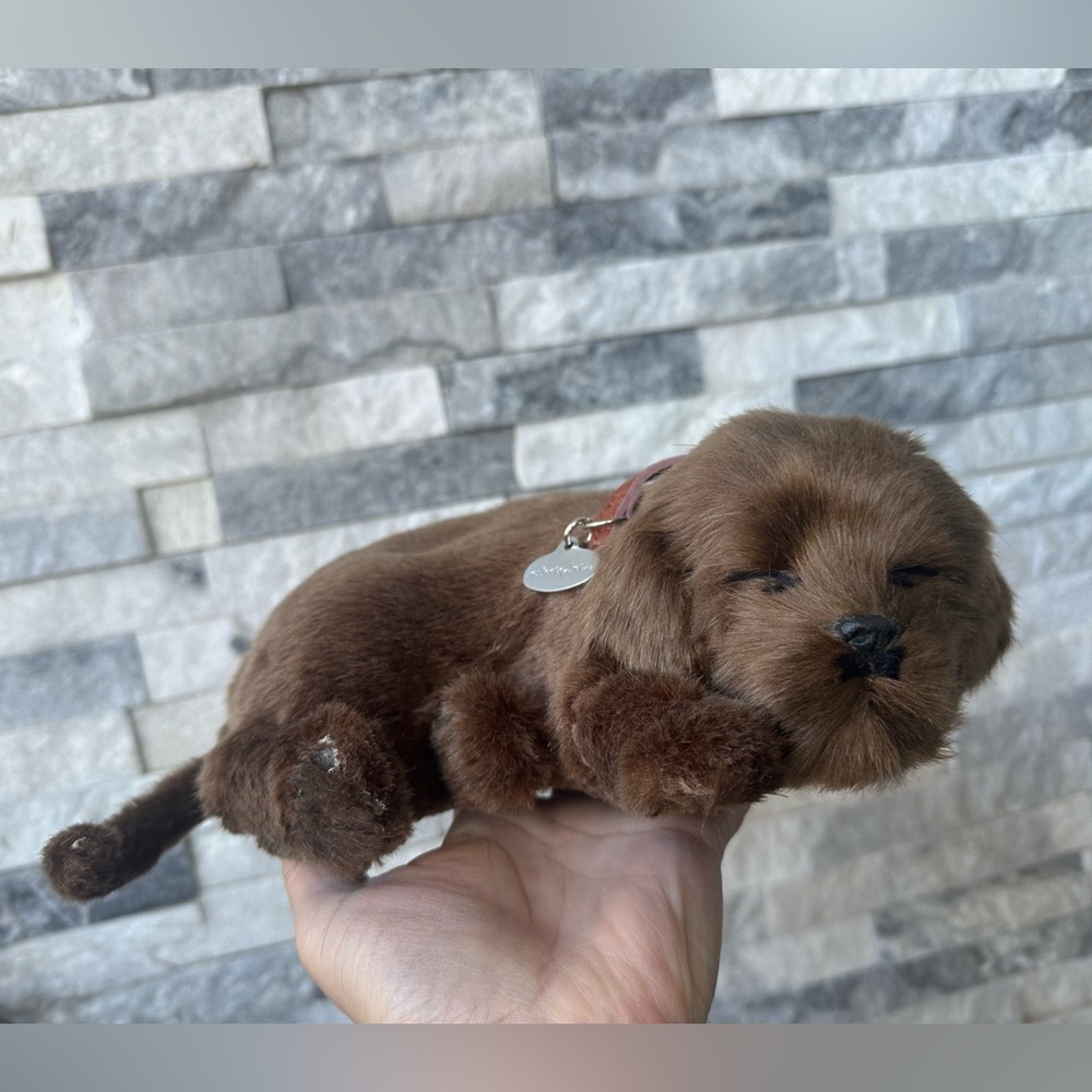 Perfect Petzzz. Chocolate Lab Perfect Petzzz Life Like Breathing Realistic Dog